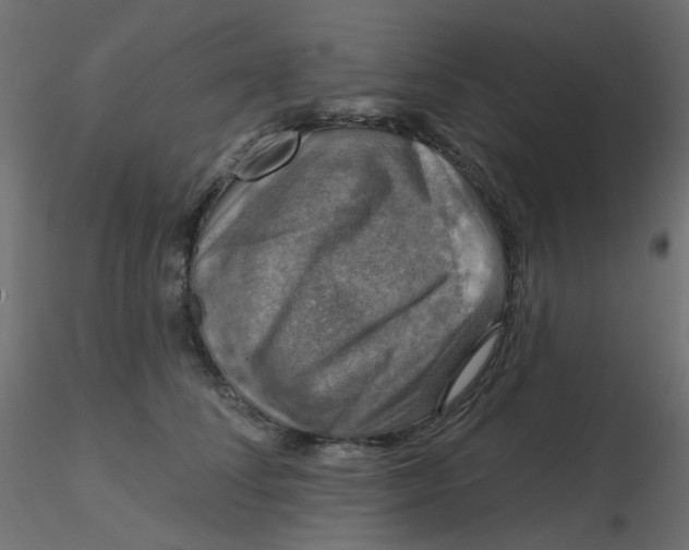 X0000116630708200912312200