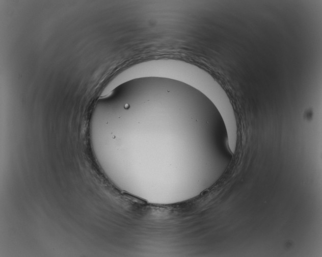 X0000116630709200912312200
