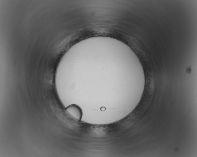 X0000116630710200912312200