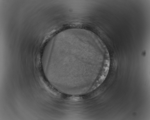 X0000116630711200912312200