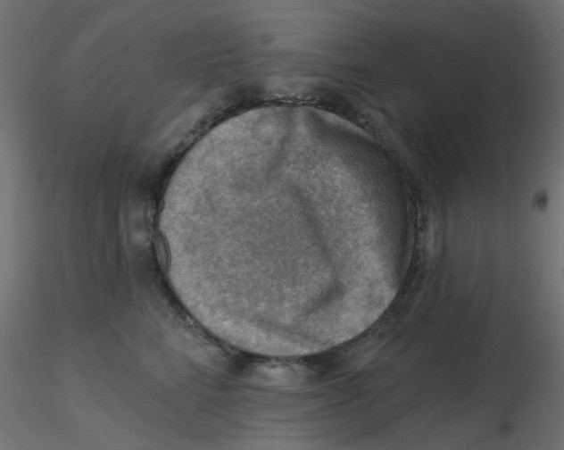 X0000116630712200912312200