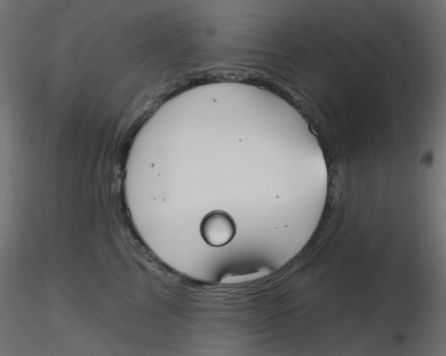 X0000116630713200912312200
