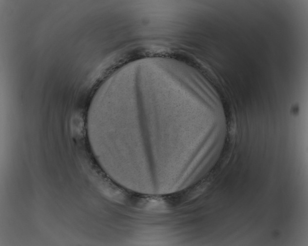 X0000116630715200912312200