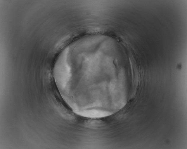 X0000116630716200912312200