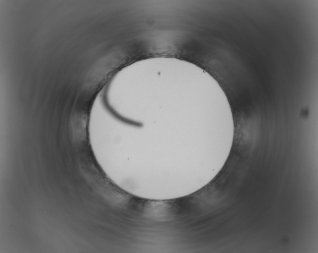 X0000116630717200912312200
