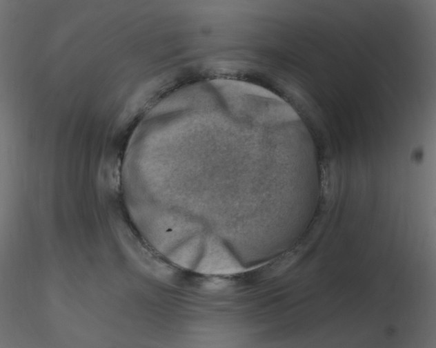 X0000116630718200912312200