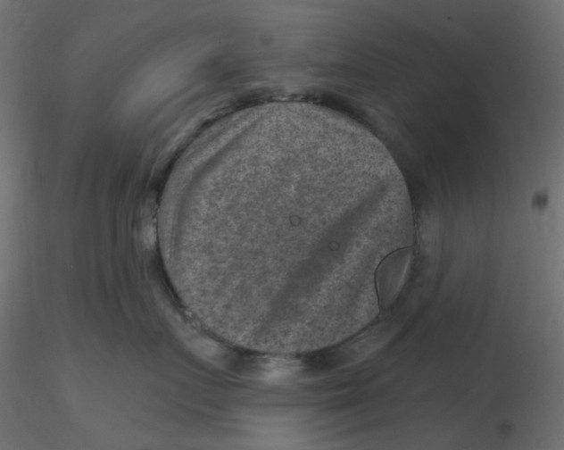 X0000116630719200912312200