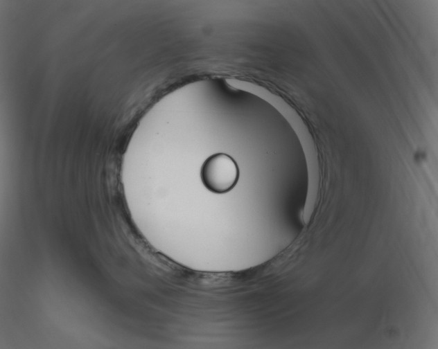 X0000116630720200912312200