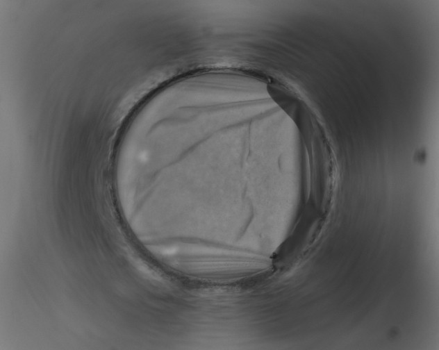 X0000116630721200912312159