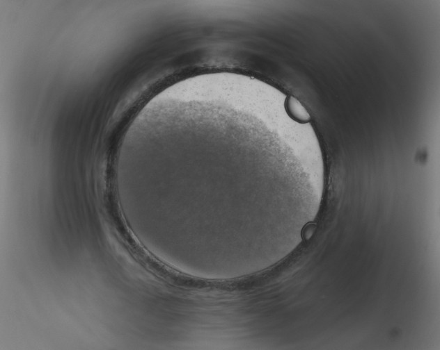 X0000116630722200912312159