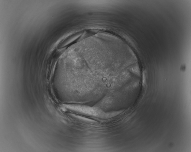X0000116630723200912312159