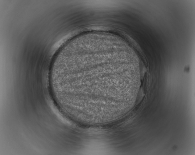 X0000116630725200912312159