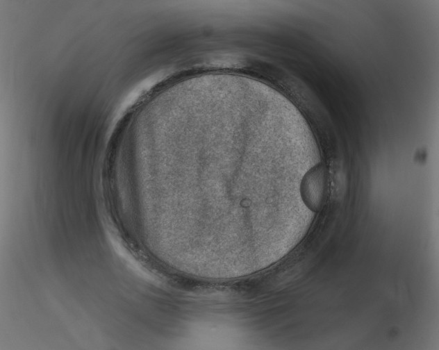 X0000116630726200912312159