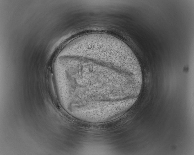 X0000116630727200912312159