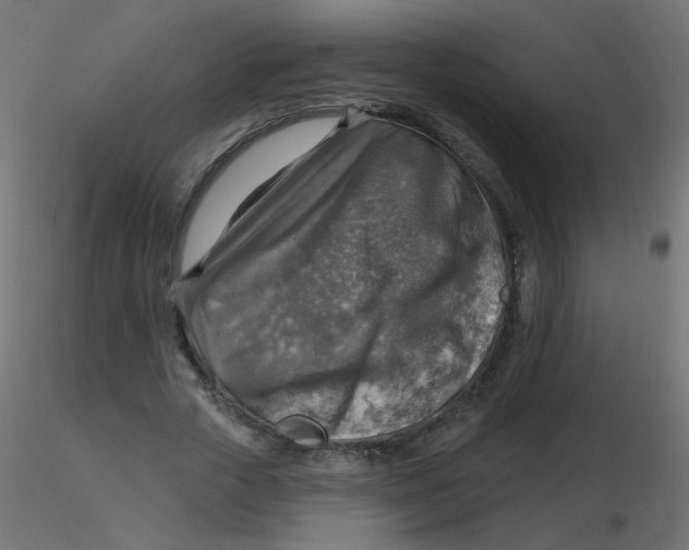 X0000116630729200912312159