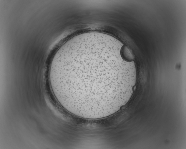 X0000116630730200912312159
