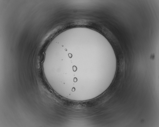 X0000116630731200912312159