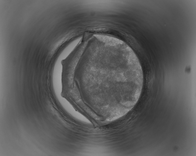 X0000116630735200912312159
