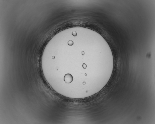 X0000116630737200912312159