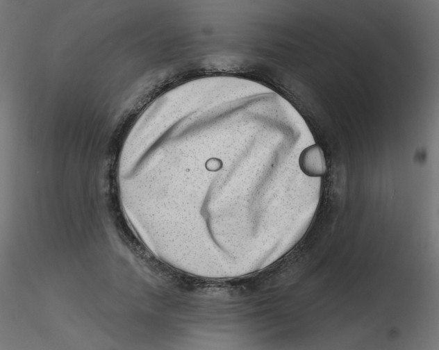 X0000116630738200912312159