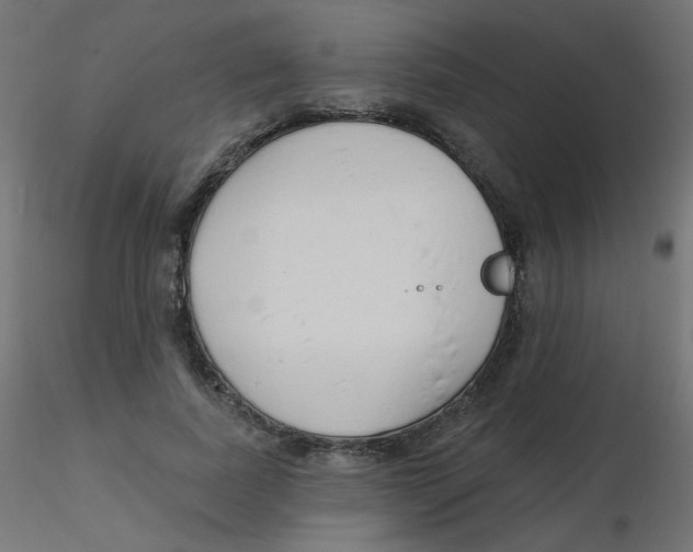 X0000116630739200912312159