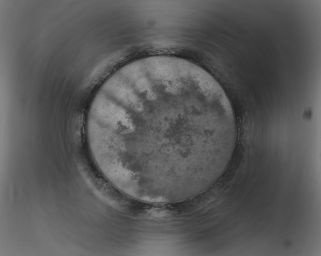 X0000116630742200912312159