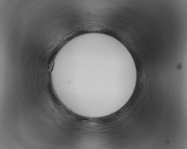 X0000116630743200912312159