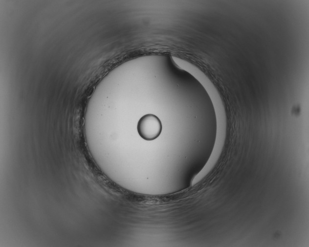 X0000116630745200912312159