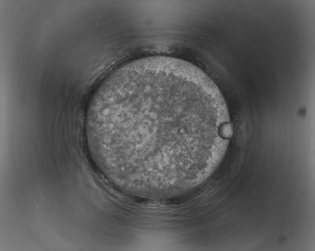 X0000116630747200912312159