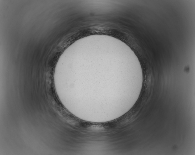 X0000116630749200912312159