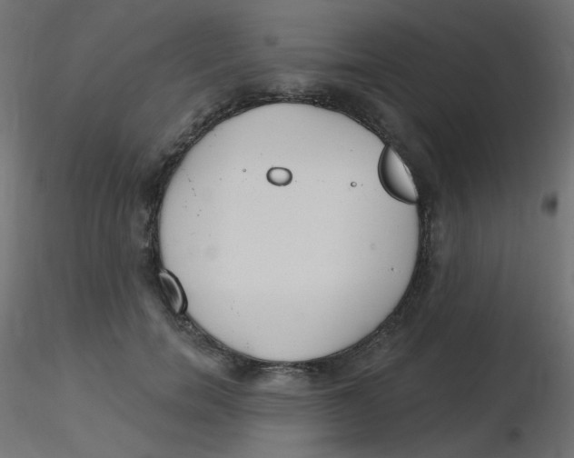 X0000116630750200912312159