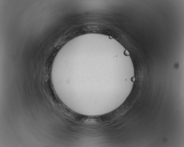 X0000116630751200912312159
