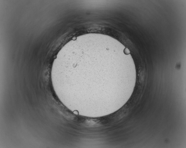 X0000116630753200912312159