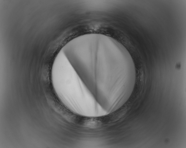 X0000116630754200912312159