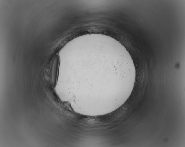 X0000116630755200912312159