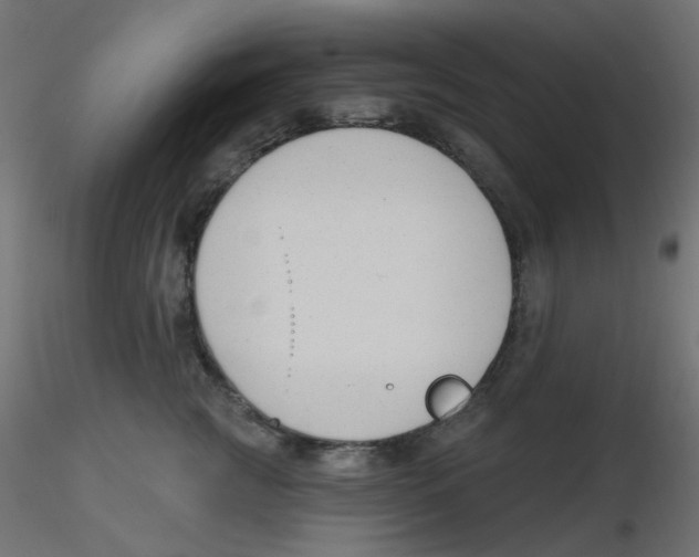 X0000116630761200912312159