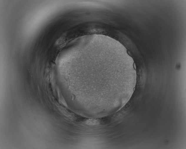 X0000116630762200912312159