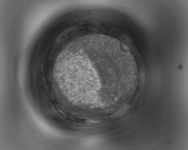 X0000116630765200912312159