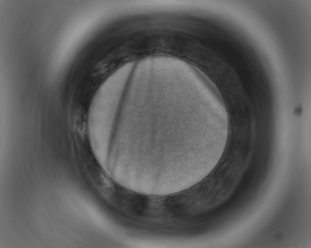 X0000116630766200912312159