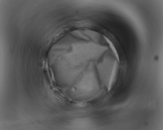 X0000116630767200912312159