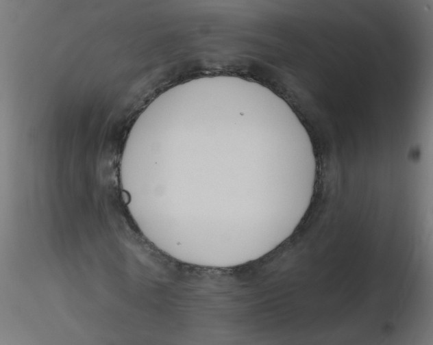 X0000116630770200912312159