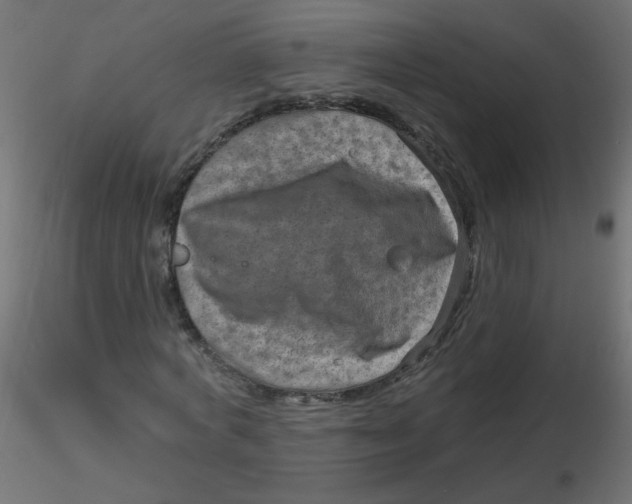 X0000116630772200912312159