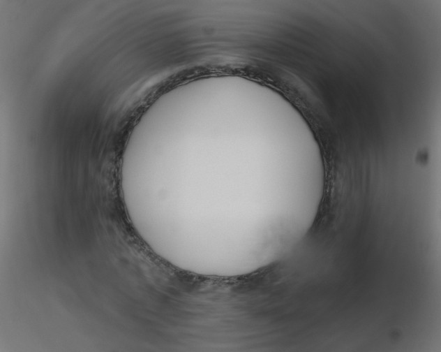 X0000116630773200912312159