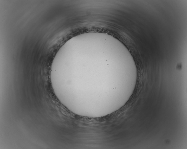 X0000116630774200912312159