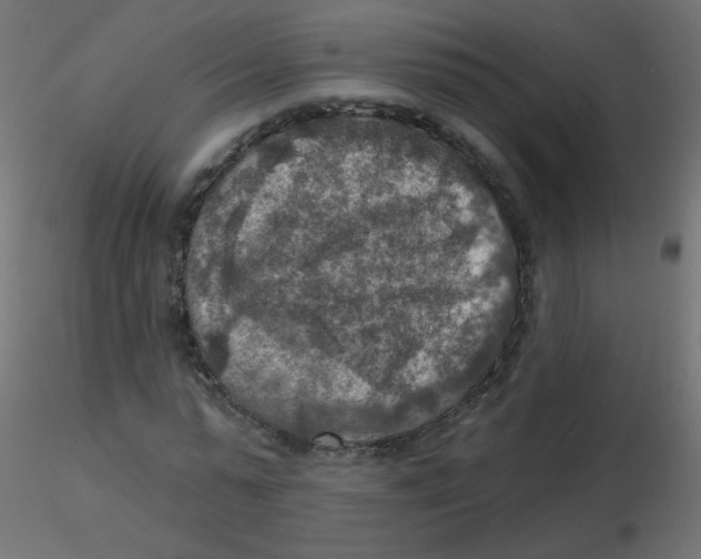 X0000116630775200912312159