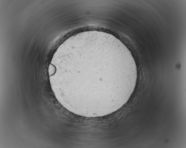 X0000116630776200912312159