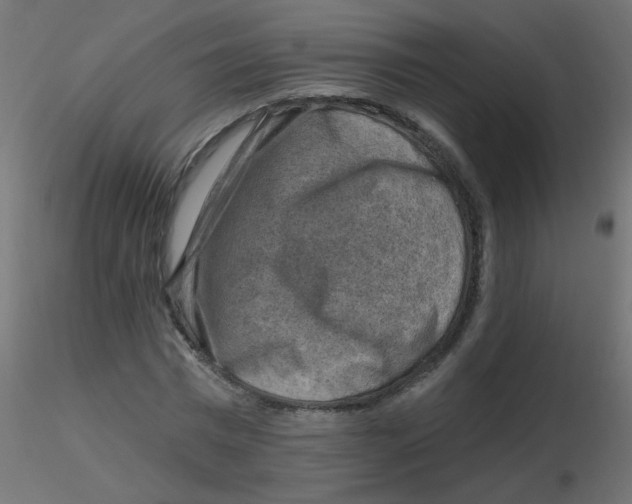 X0000116630777200912312159