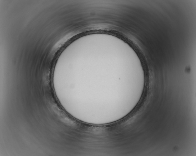 X0000116630778200912312159