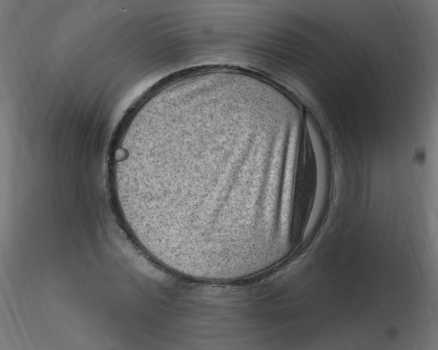 X0000116630780200912312159