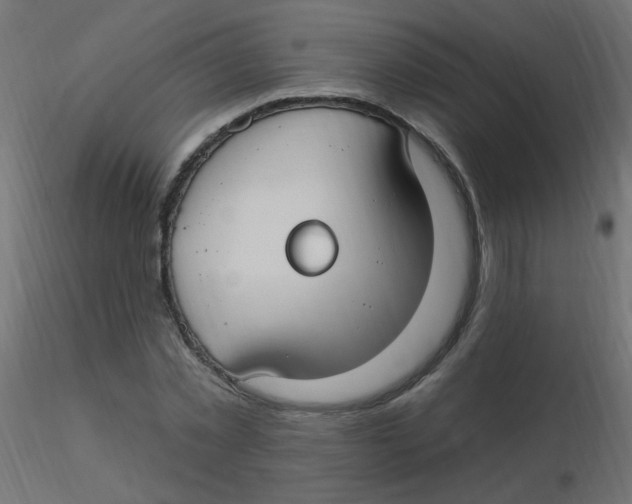 X0000116630781200912312159